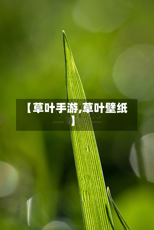 【草叶手游,草叶壁纸】-第2张图片