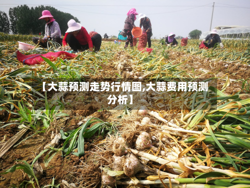 【大蒜预测走势行情图,大蒜费用预测分析】