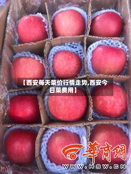 【西安每天菜价行情走势,西安今日菜费用】