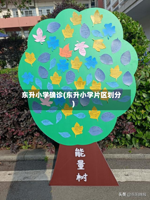 东升小学确诊(东升小学片区划分)