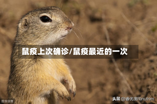 鼠疫上次确诊/鼠疫最近的一次