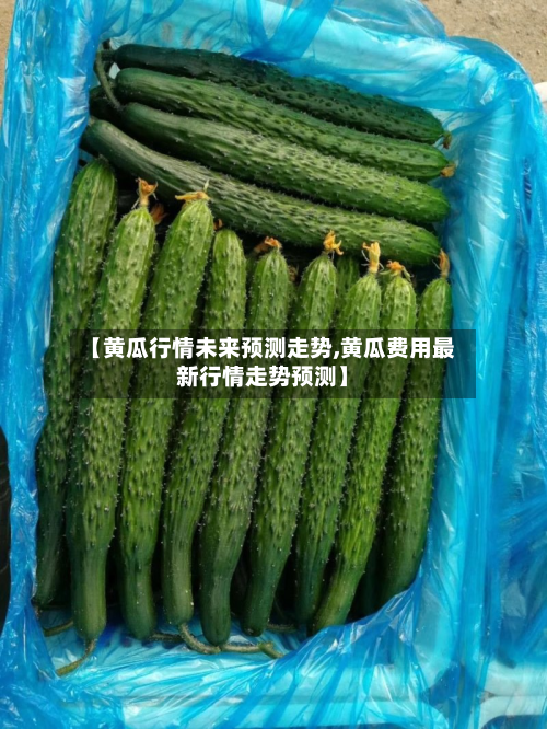 【黄瓜行情未来预测走势,黄瓜费用最新行情走势预测】