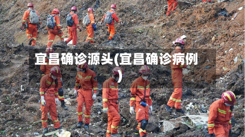 宜昌确诊源头(宜昌确诊病例)