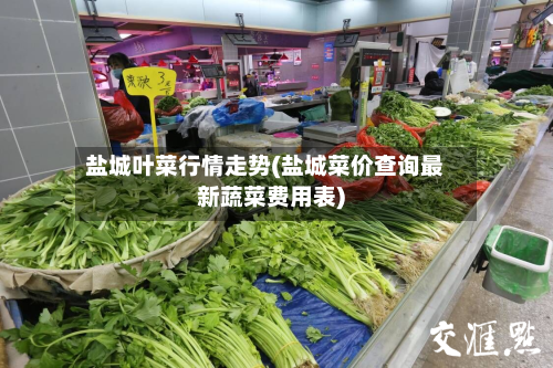 盐城叶菜行情走势(盐城菜价查询最新蔬菜费用表)-第3张图片