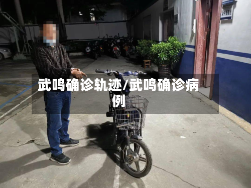 武鸣确诊轨迹/武鸣确诊病例