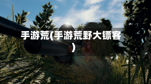 手游荒(手游荒野大镖客)-第2张图片