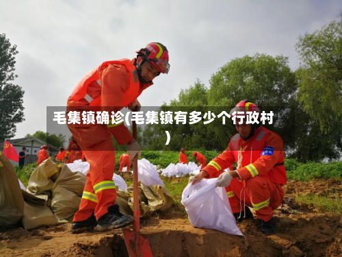 毛集镇确诊(毛集镇有多少个行政村)-第3张图片