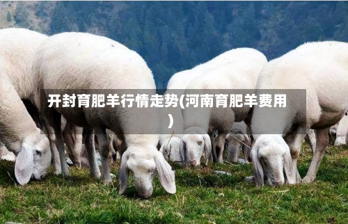 开封育肥羊行情走势(河南育肥羊费用)-第2张图片