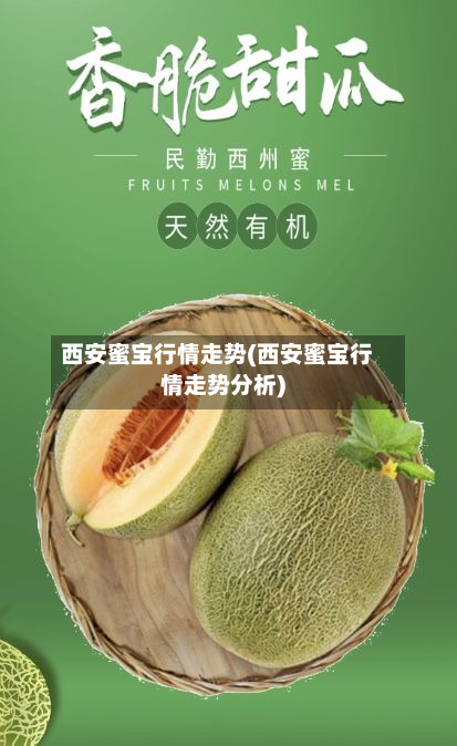 西安蜜宝行情走势(西安蜜宝行情走势分析)