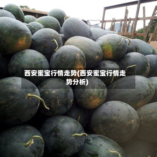 西安蜜宝行情走势(西安蜜宝行情走势分析)-第3张图片