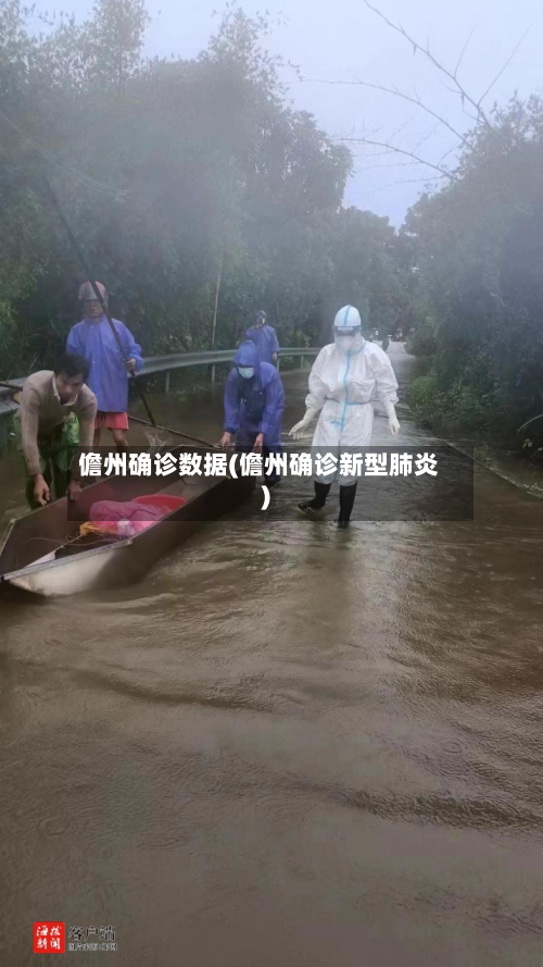 儋州确诊数据(儋州确诊新型肺炎)