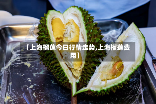 【上海榴莲今日行情走势,上海榴莲费用】-第2张图片