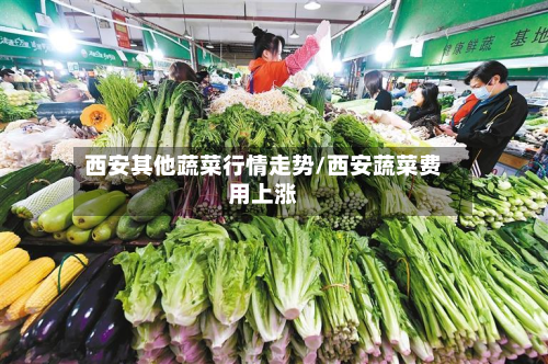 西安其他蔬菜行情走势/西安蔬菜费用上涨-第2张图片