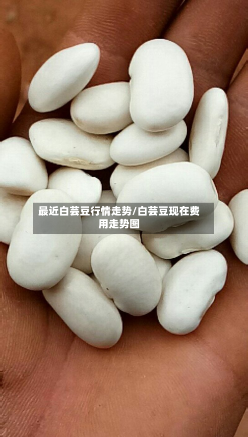 最近白芸豆行情走势/白芸豆现在费用走势图-第2张图片