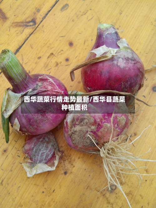 西华蔬菜行情走势最新/西华县蔬菜种植面积-第3张图片