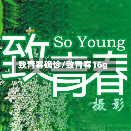 致青春确诊/致青春16g-第2张图片