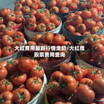 大红费用最新行情走势/大红鹰股票费用查询-第2张图片