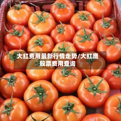 大红费用最新行情走势/大红鹰股票费用查询-第3张图片