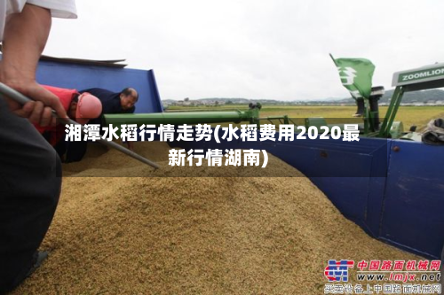 湘潭水稻行情走势(水稻费用2020最新行情湖南)-第2张图片