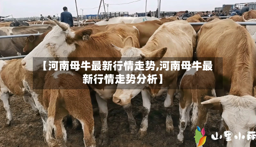 【河南母牛最新行情走势,河南母牛最新行情走势分析】-第2张图片