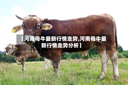 【河南母牛最新行情走势,河南母牛最新行情走势分析】-第3张图片