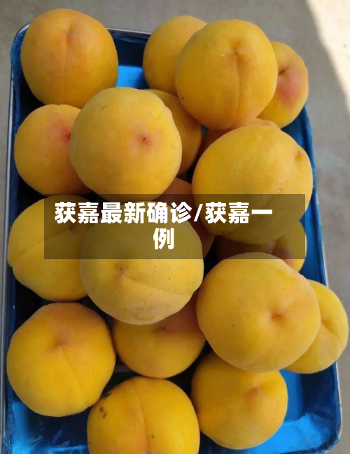获嘉最新确诊/获嘉一例