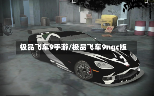 极品飞车9手游/极品飞车9ngc版