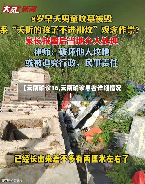 【云南确诊16,云南确诊患者详细情况】-第3张图片