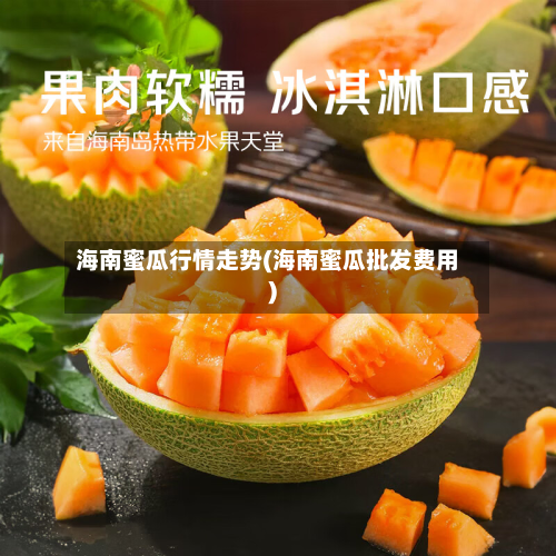 海南蜜瓜行情走势(海南蜜瓜批发费用)