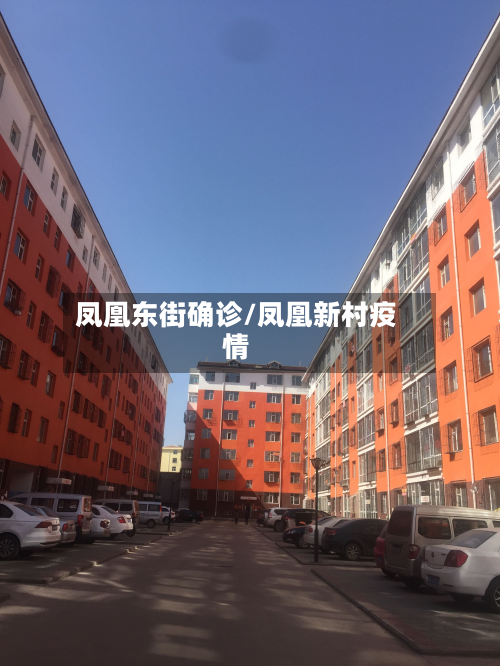 凤凰东街确诊/凤凰新村疫情