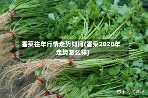 香菜往年行情走势如何(香菜2020年走势怎么样)