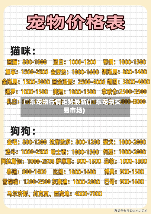广东宠物行情走势最新(广东宠物交易市场)