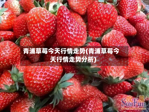 青浦草莓今天行情走势(青浦草莓今天行情走势分析)