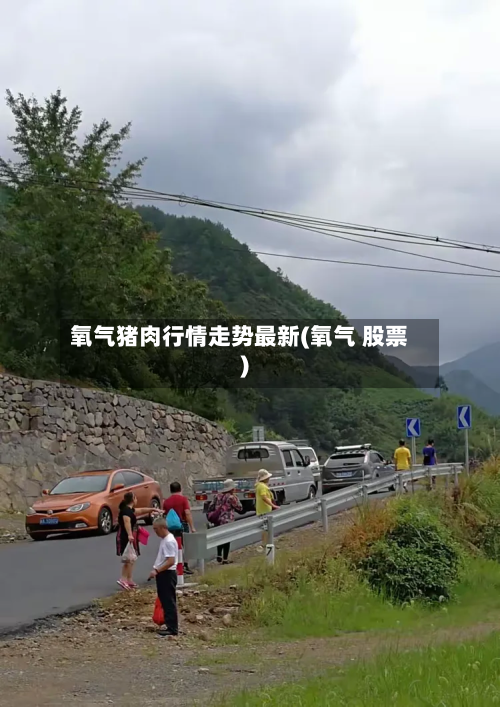 氧气猪肉行情走势最新(氧气 股票)-第2张图片