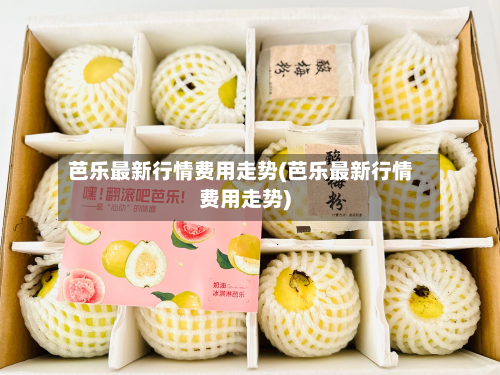 芭乐最新行情费用走势(芭乐最新行情费用走势)