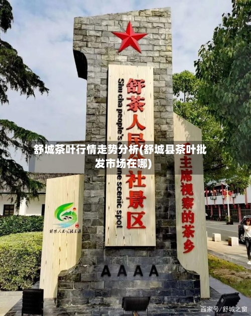 舒城茶叶行情走势分析(舒城县茶叶批发市场在哪)
