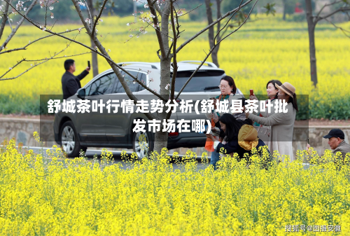 舒城茶叶行情走势分析(舒城县茶叶批发市场在哪)-第2张图片