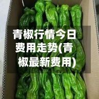 青椒行情今日费用走势(青椒最新费用)-第2张图片