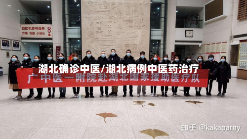 湖北确诊中医/湖北病例中医药治疗