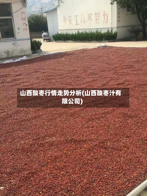 山西酸枣行情走势分析(山西酸枣汁有限公司)-第2张图片
