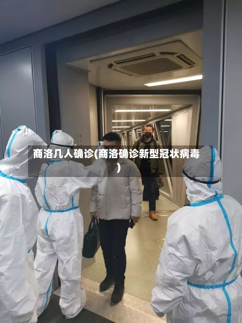 商洛几人确诊(商洛确诊新型冠状病毒)-第2张图片