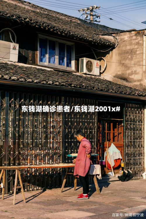 东钱湖确诊患者/东钱湖2001x#