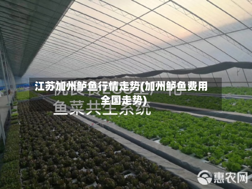 江苏加州鲈鱼行情走势(加州鲈鱼费用全国走势)-第3张图片