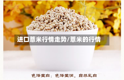 进口薏米行情走势/薏米的行情