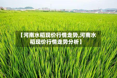 【河南水稻现价行情走势,河南水稻现价行情走势分析】-第2张图片