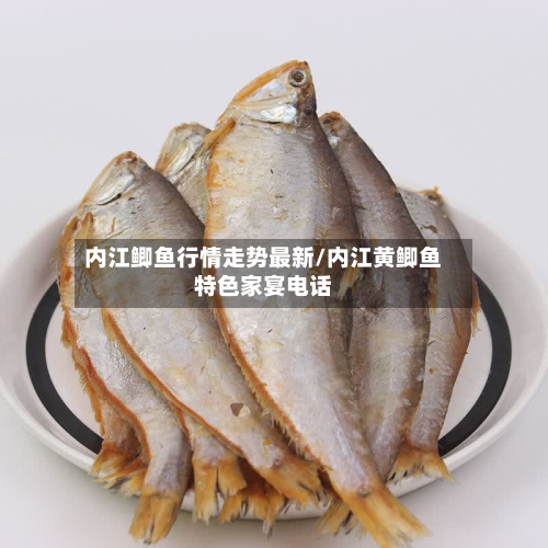 内江鲫鱼行情走势最新/内江黄鲫鱼特色家宴电话