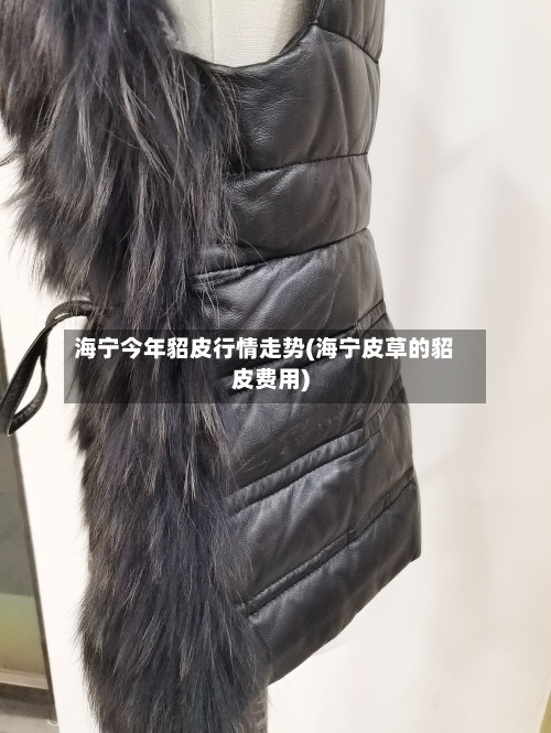 海宁今年貂皮行情走势(海宁皮草的貂皮费用)-第3张图片