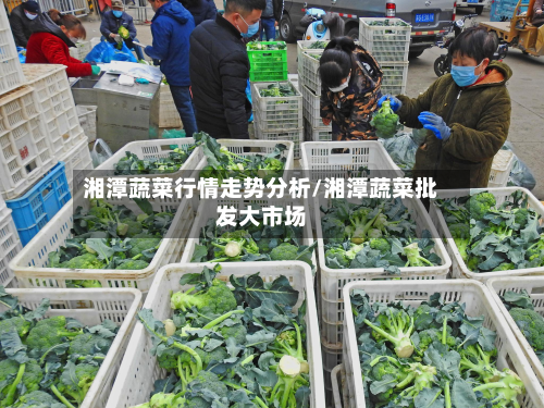 湘潭蔬菜行情走势分析/湘潭蔬菜批发大市场-第3张图片