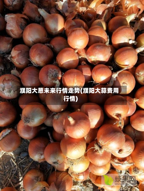 濮阳大葱未来行情走势(濮阳大蒜费用行情)