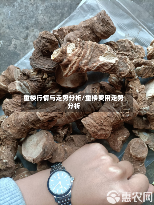 重楼行情与走势分析/重楼费用走势分析